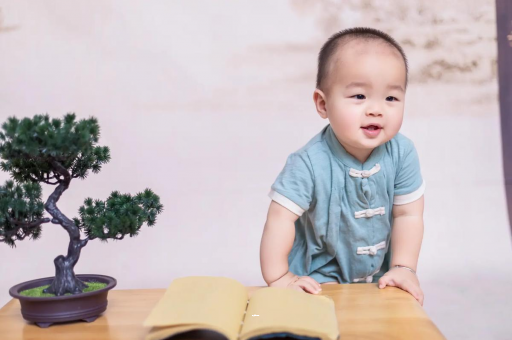 厦门可爱的企鹅宝宝
